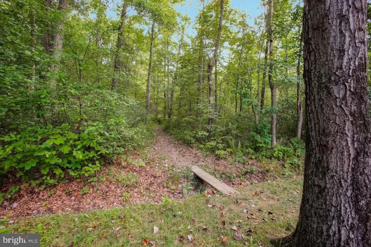 21693 Maddensville Pike photo 31