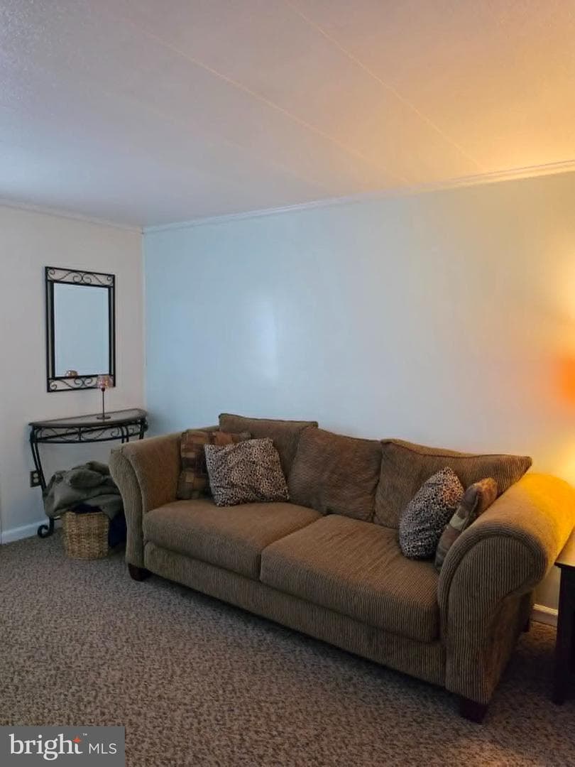3400 Streamside Drive photo 3