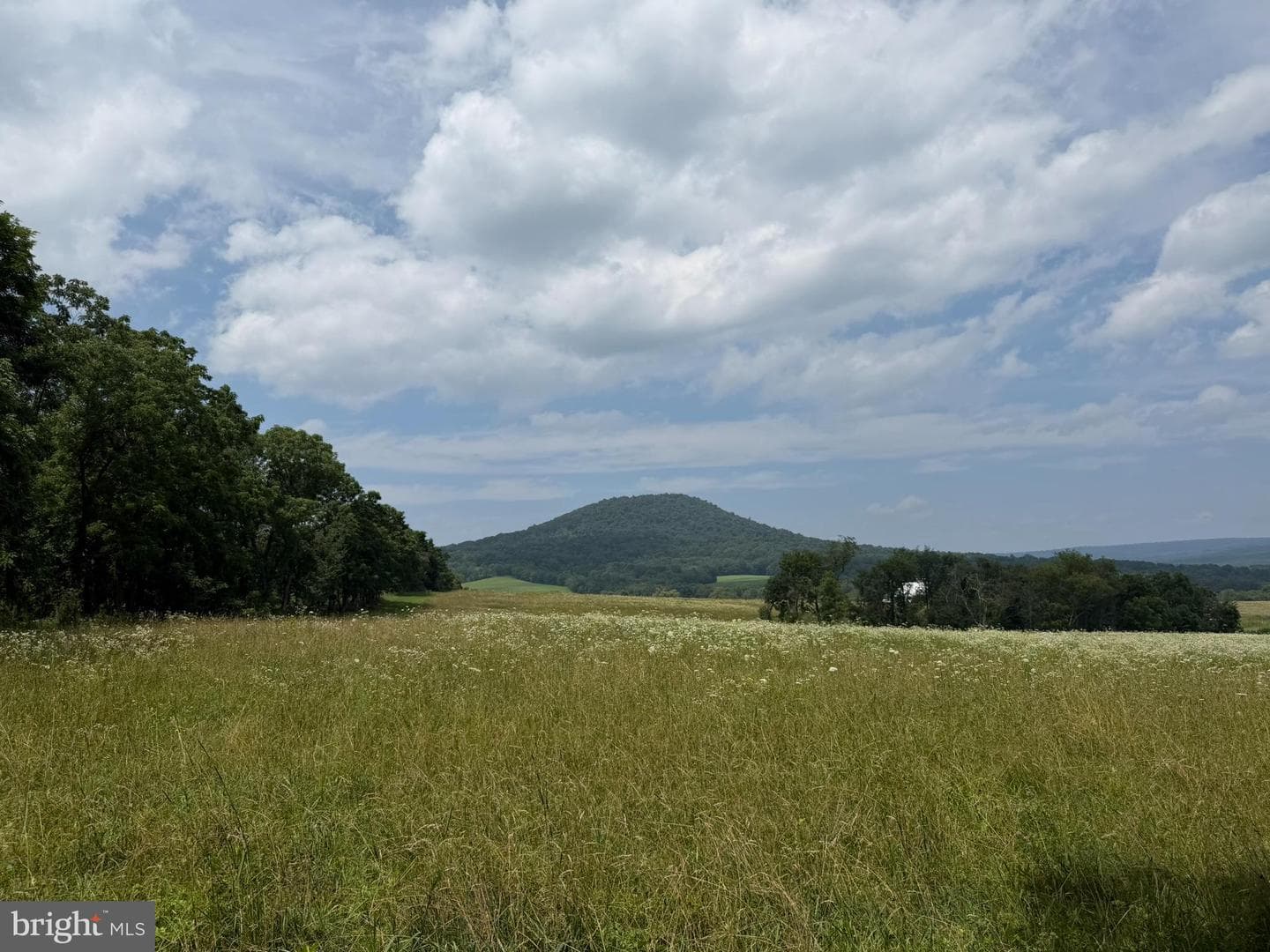 5861 Old Plank Road photo 30