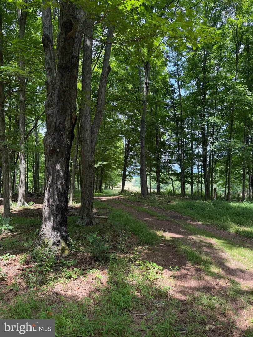 5861 Old Plank Road photo 35