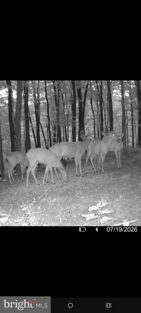 5861 Old Plank Road photo 42