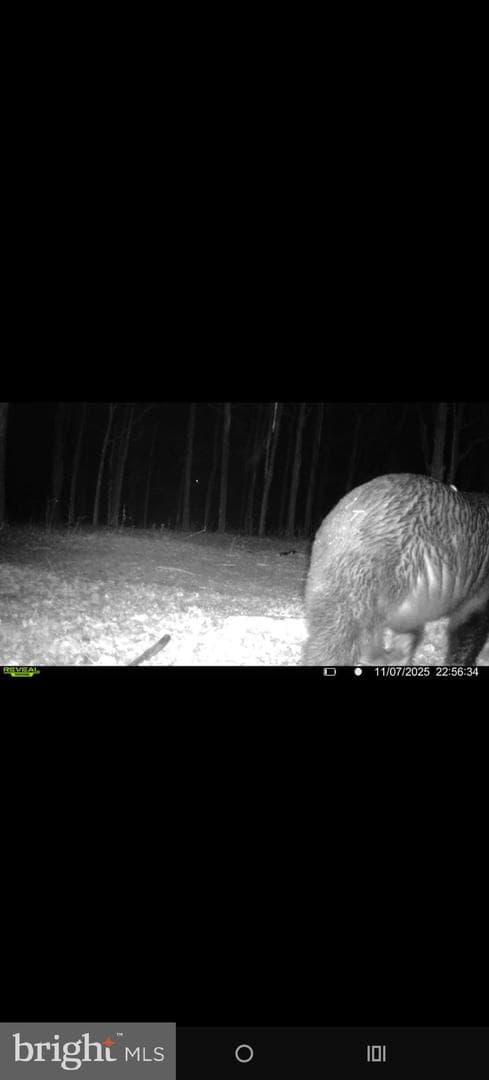 5861 Old Plank Road photo 44