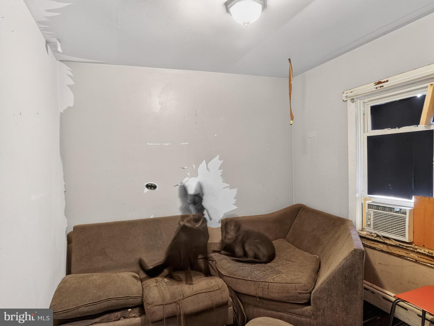 10 W Sherman Street photo 15