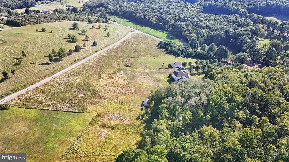 502 Cameron Camp Road photo 19