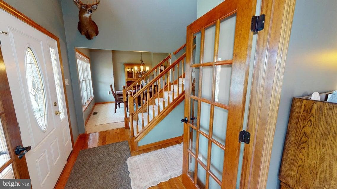 502 Cameron Camp Road photo 23