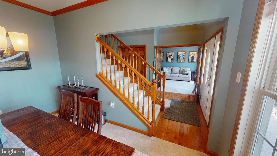 502 Cameron Camp Road photo 24