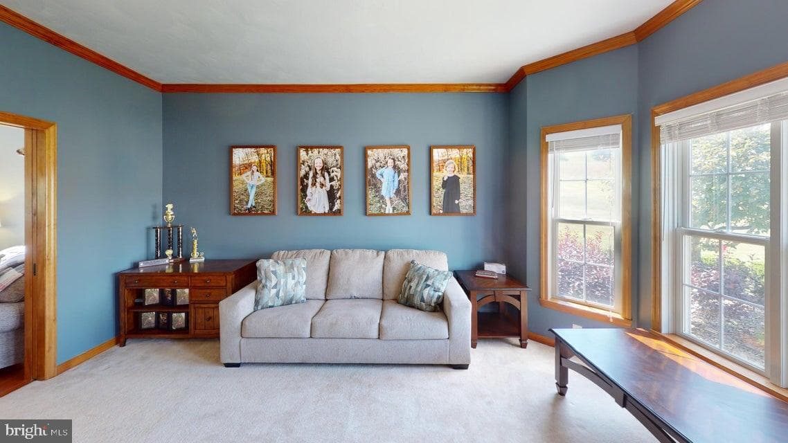502 Cameron Camp Road photo 25