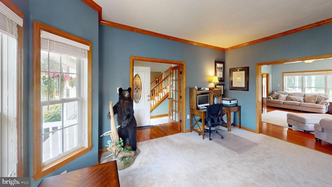 502 Cameron Camp Road photo 27