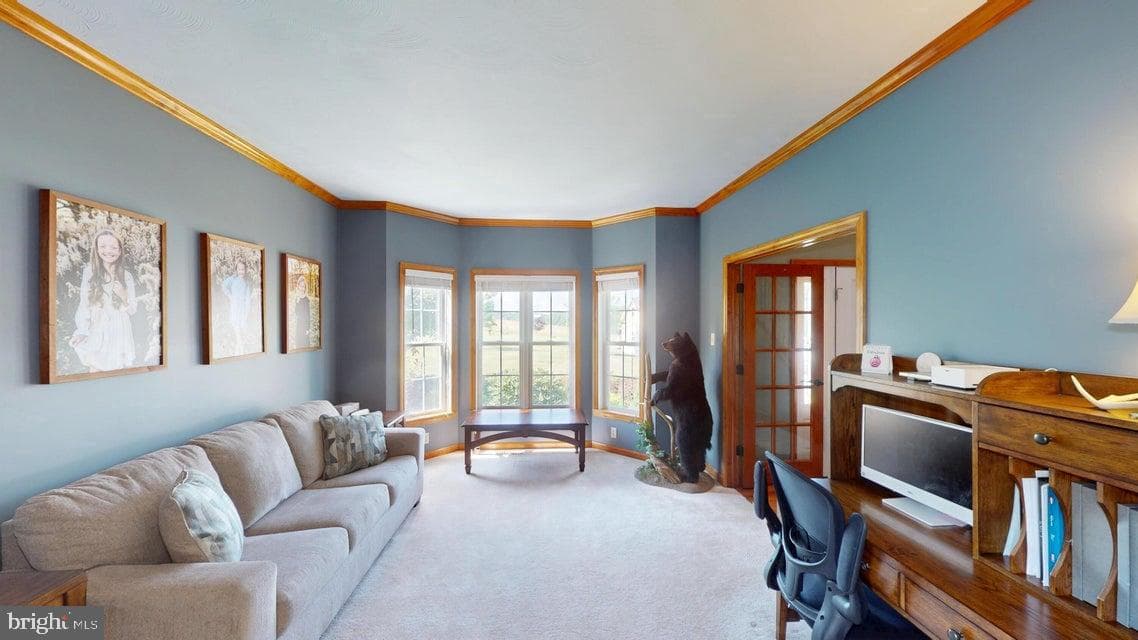 502 Cameron Camp Road photo 28