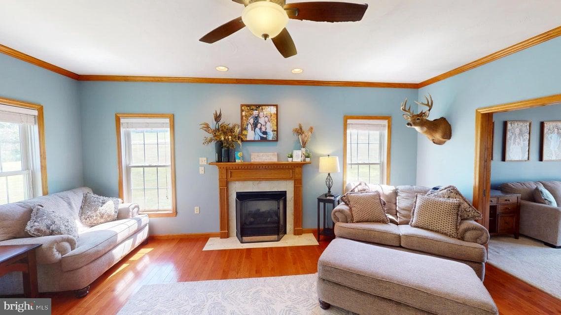 502 Cameron Camp Road photo 31
