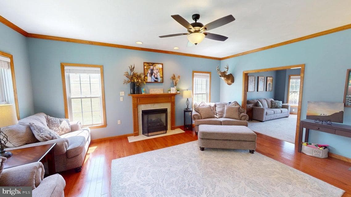 502 Cameron Camp Road photo 32