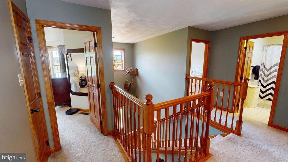 502 Cameron Camp Road photo 60