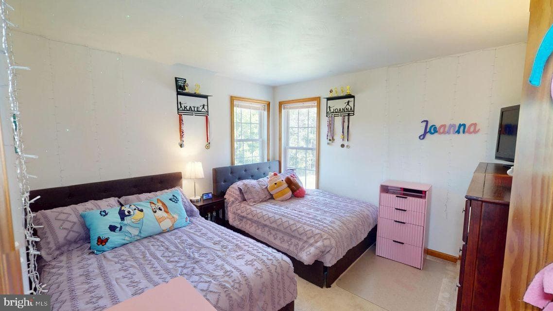 502 Cameron Camp Road photo 69