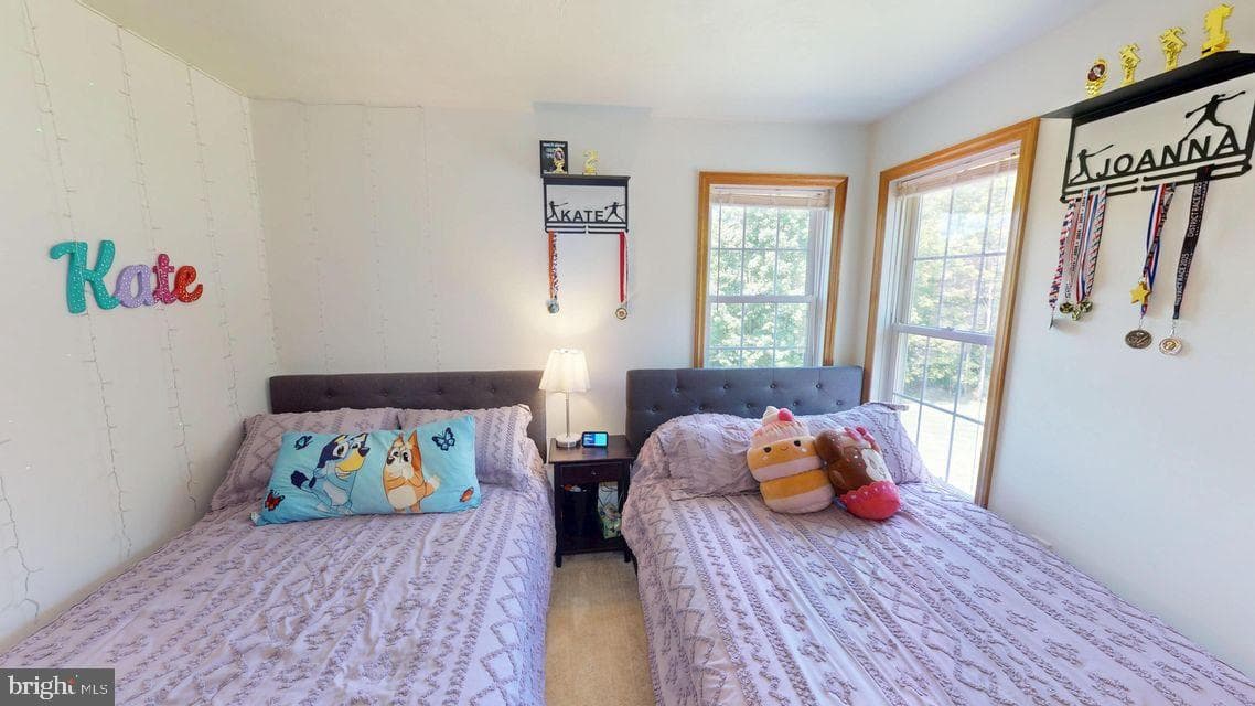 502 Cameron Camp Road photo 71