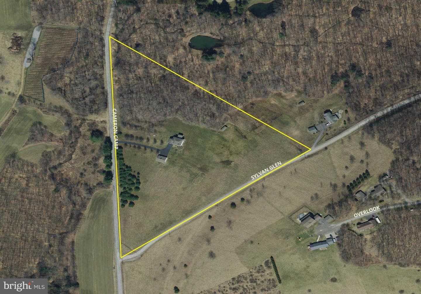 502 Cameron Camp Road photo 92