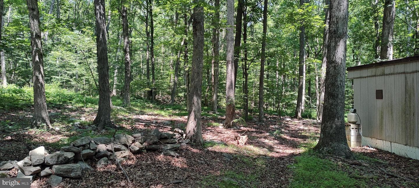 88 Farm House Ln photo 24