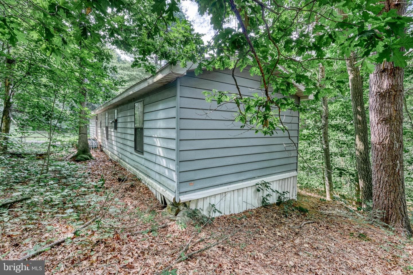 31 Neely Road photo 18