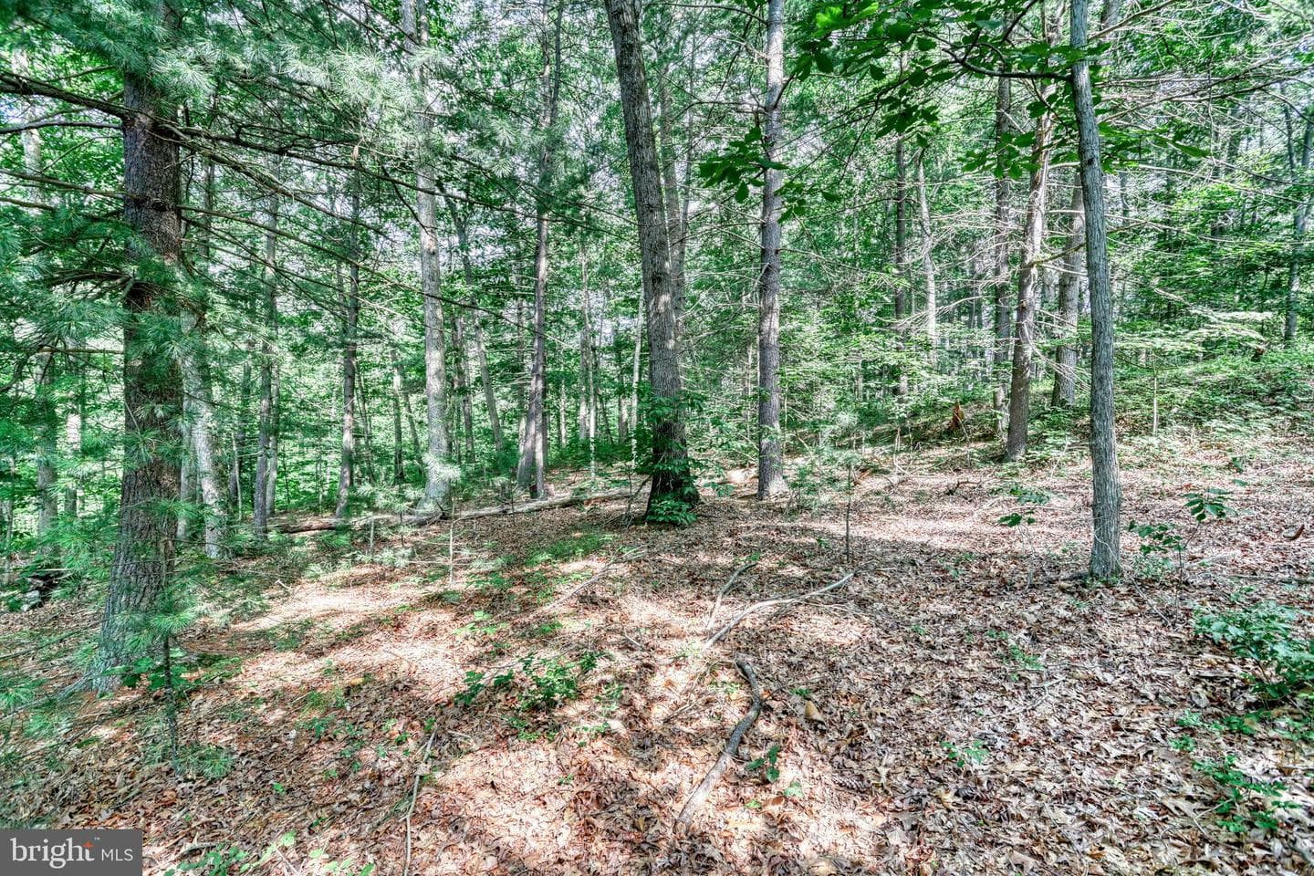31 Neely Road photo 19