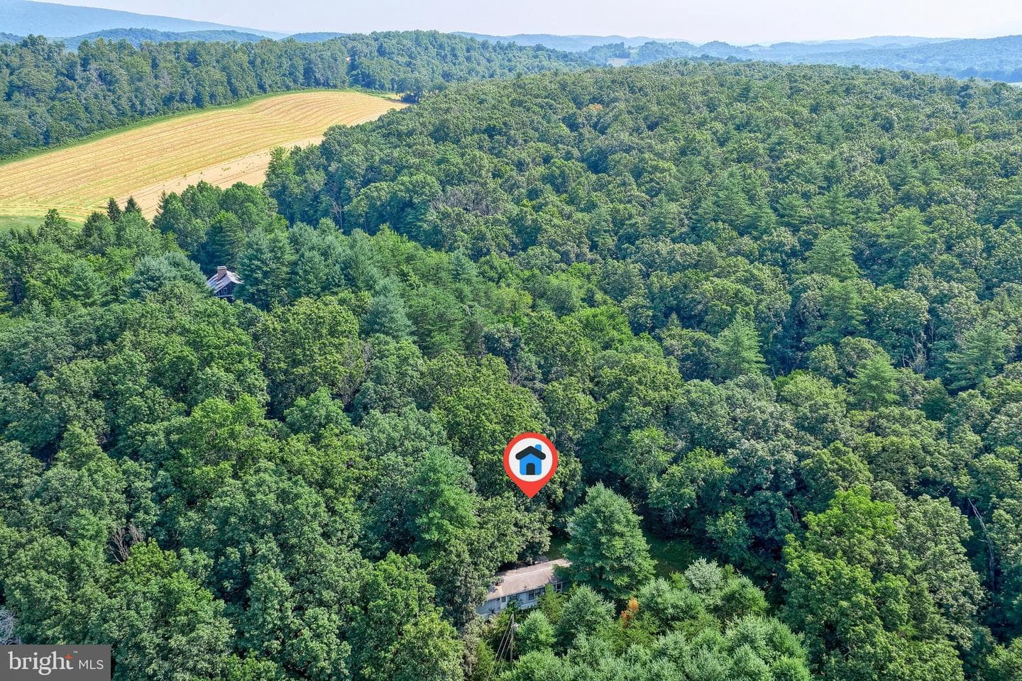 31 Neely Road photo 29