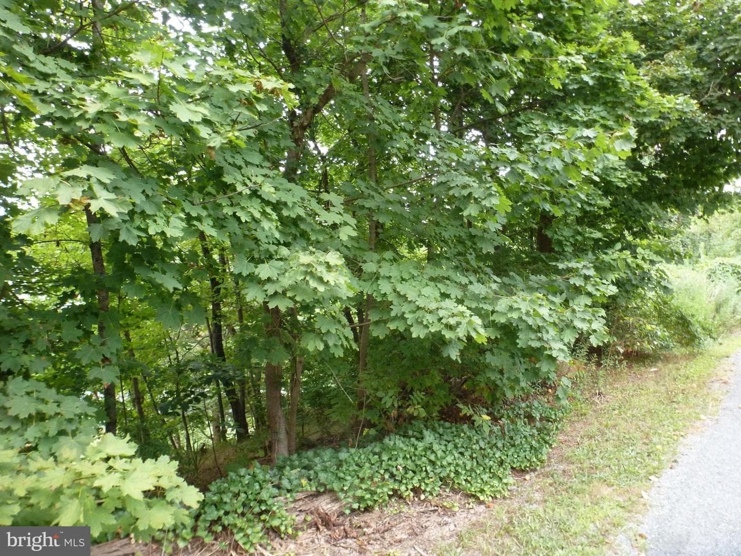 202 Licking Street photo 26