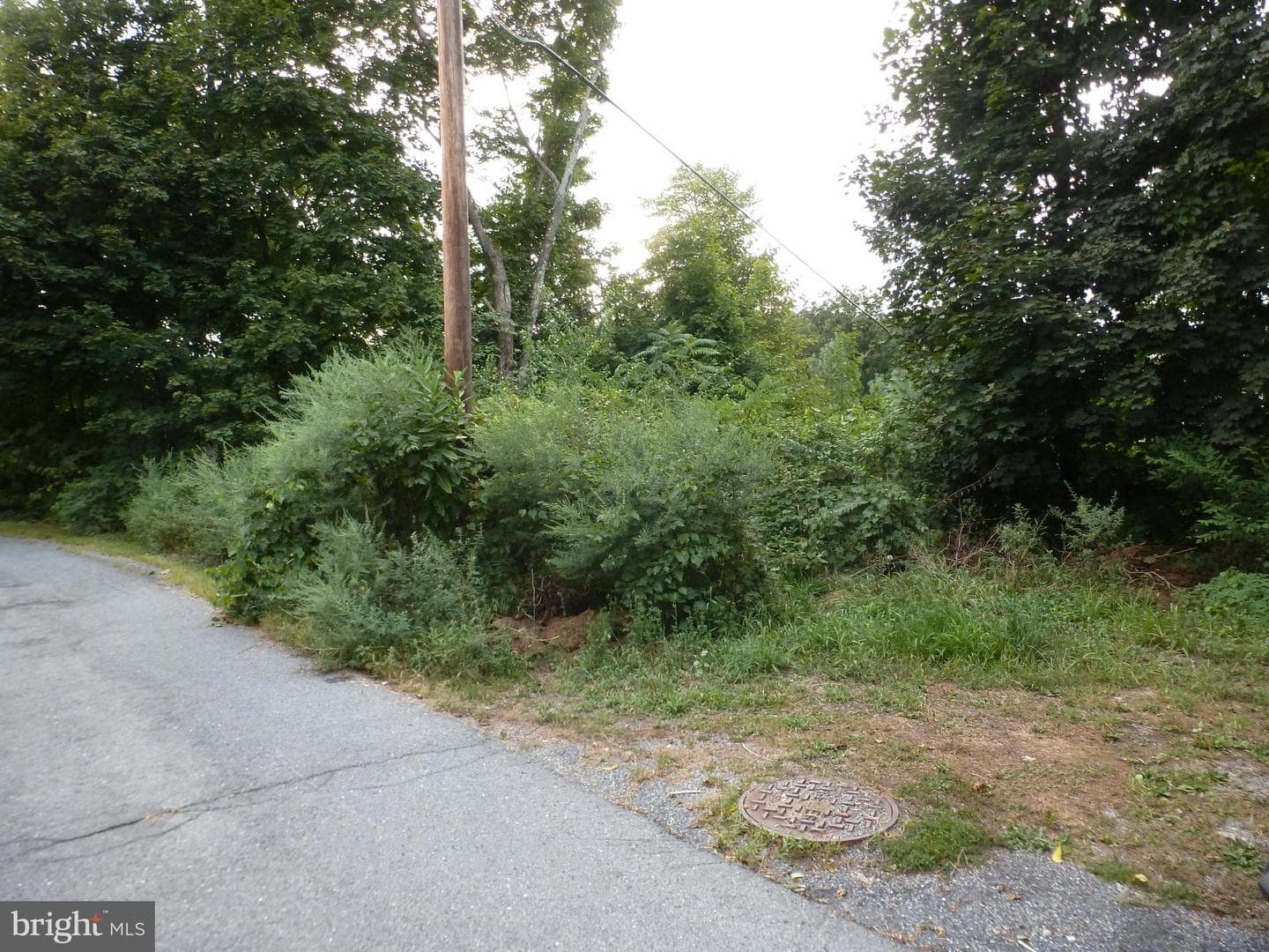 202 Licking Street photo 28