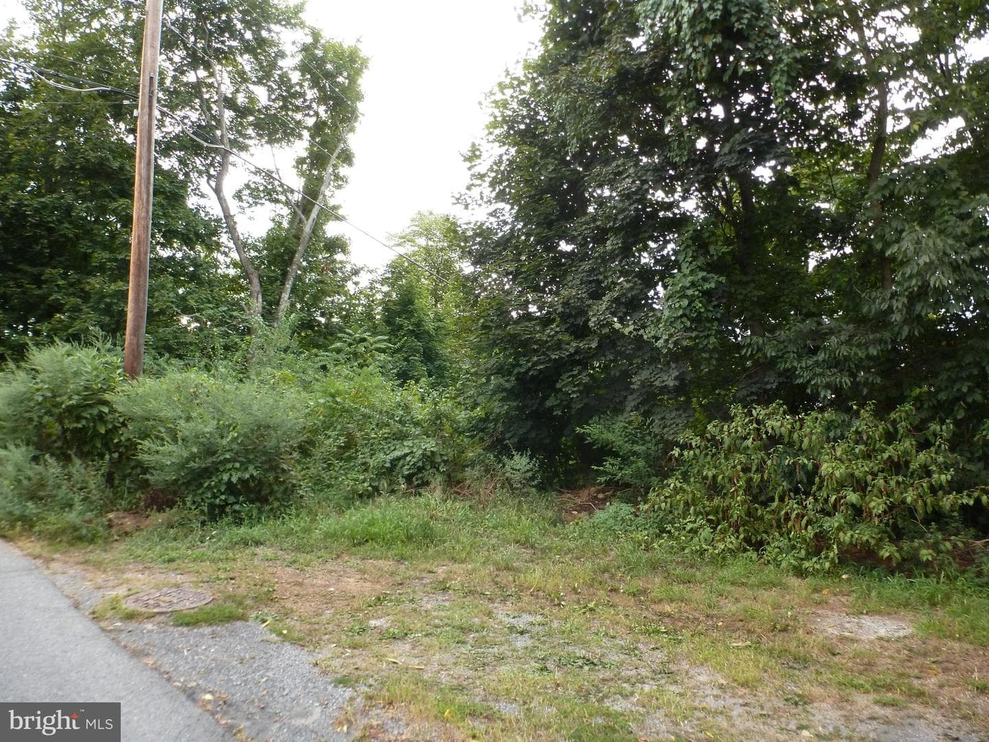 202 Licking Street photo 30