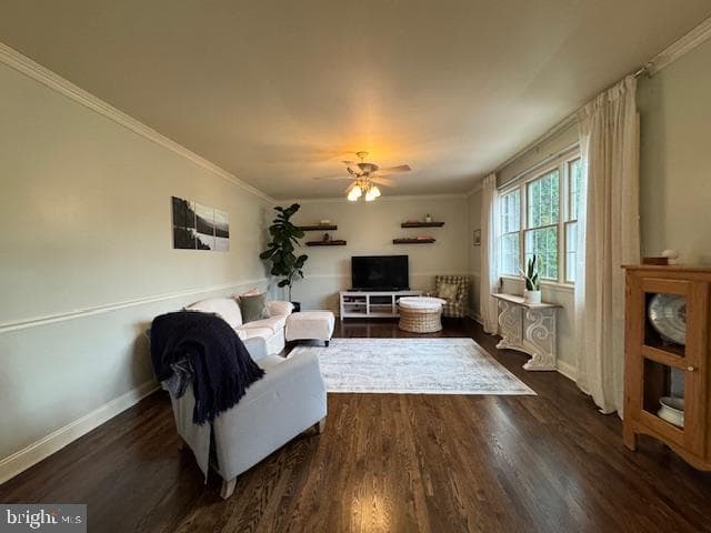 255 Sycamore Drive photo 22
