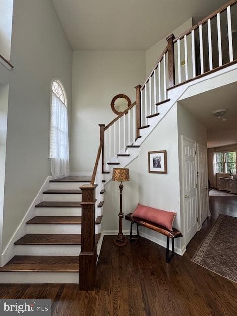 255 Sycamore Drive photo 36