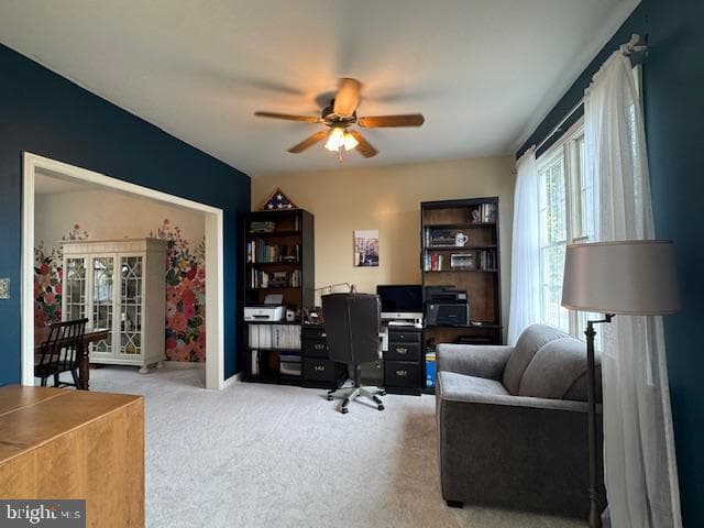 255 Sycamore Drive photo 39