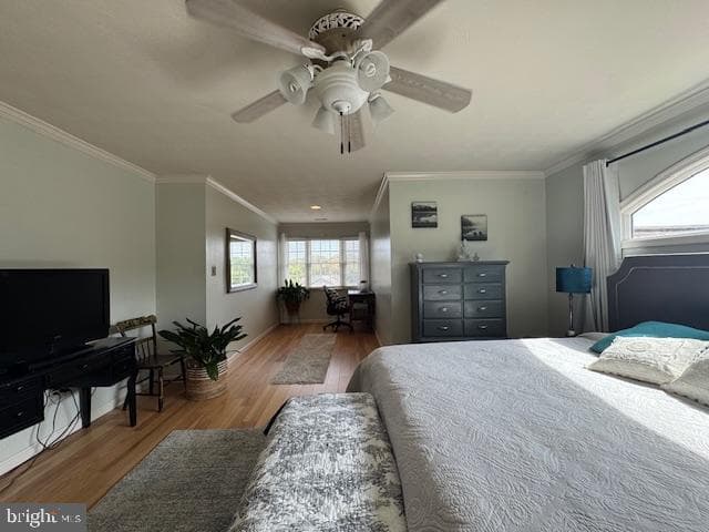 255 Sycamore Drive photo 50