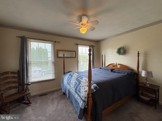 255 Sycamore Drive photo 63