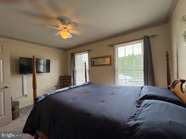 255 Sycamore Drive photo 64