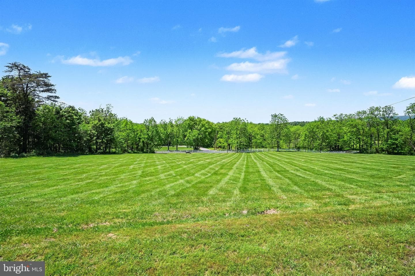 1339 Spruce Hill Road photo 25