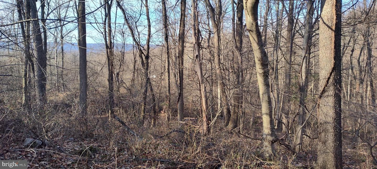 1339 Spruce Hill Road photo 70