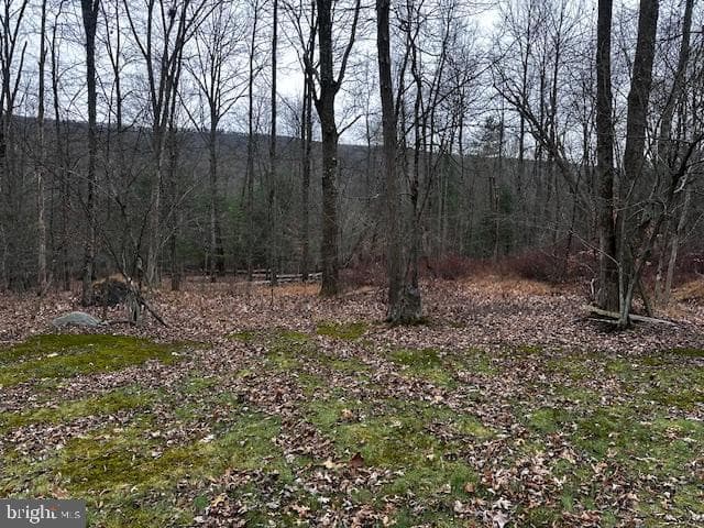4998 Black Log Rd photo 19