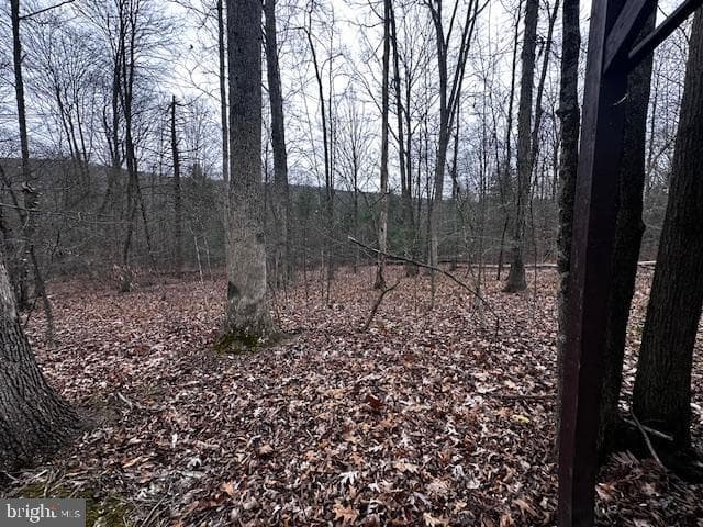 4998 Black Log Rd photo 22