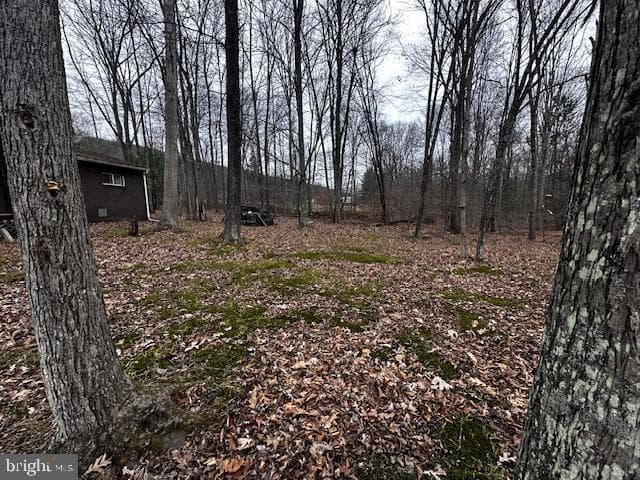 4998 Black Log Rd photo 24