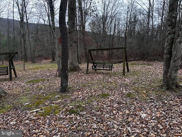 4998 Black Log Rd photo 5