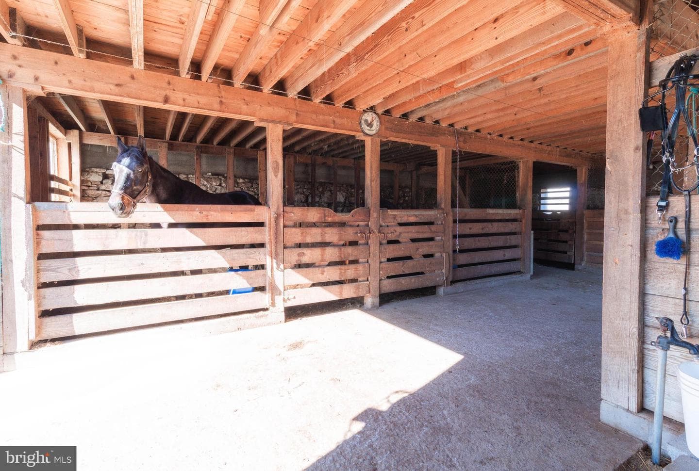 149 Alice Lane photo 26