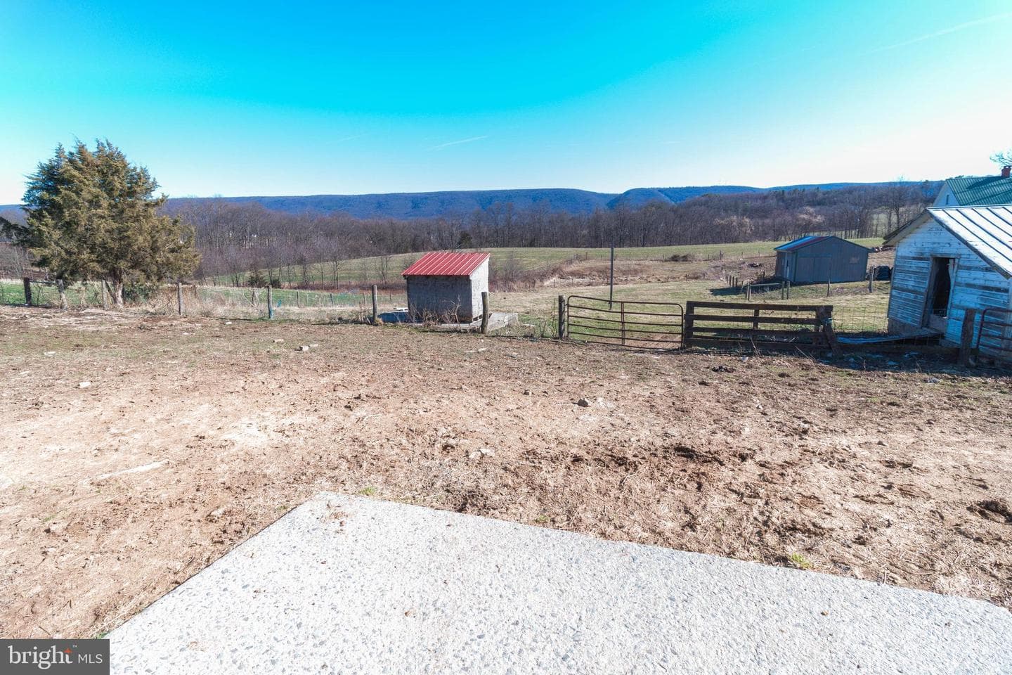 149 Alice Lane photo 28