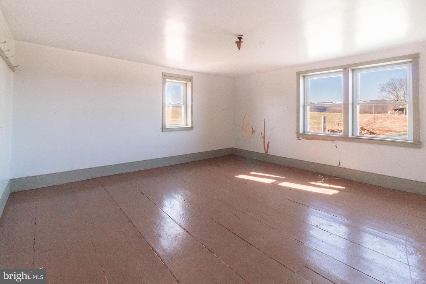 149 Alice Lane photo 37