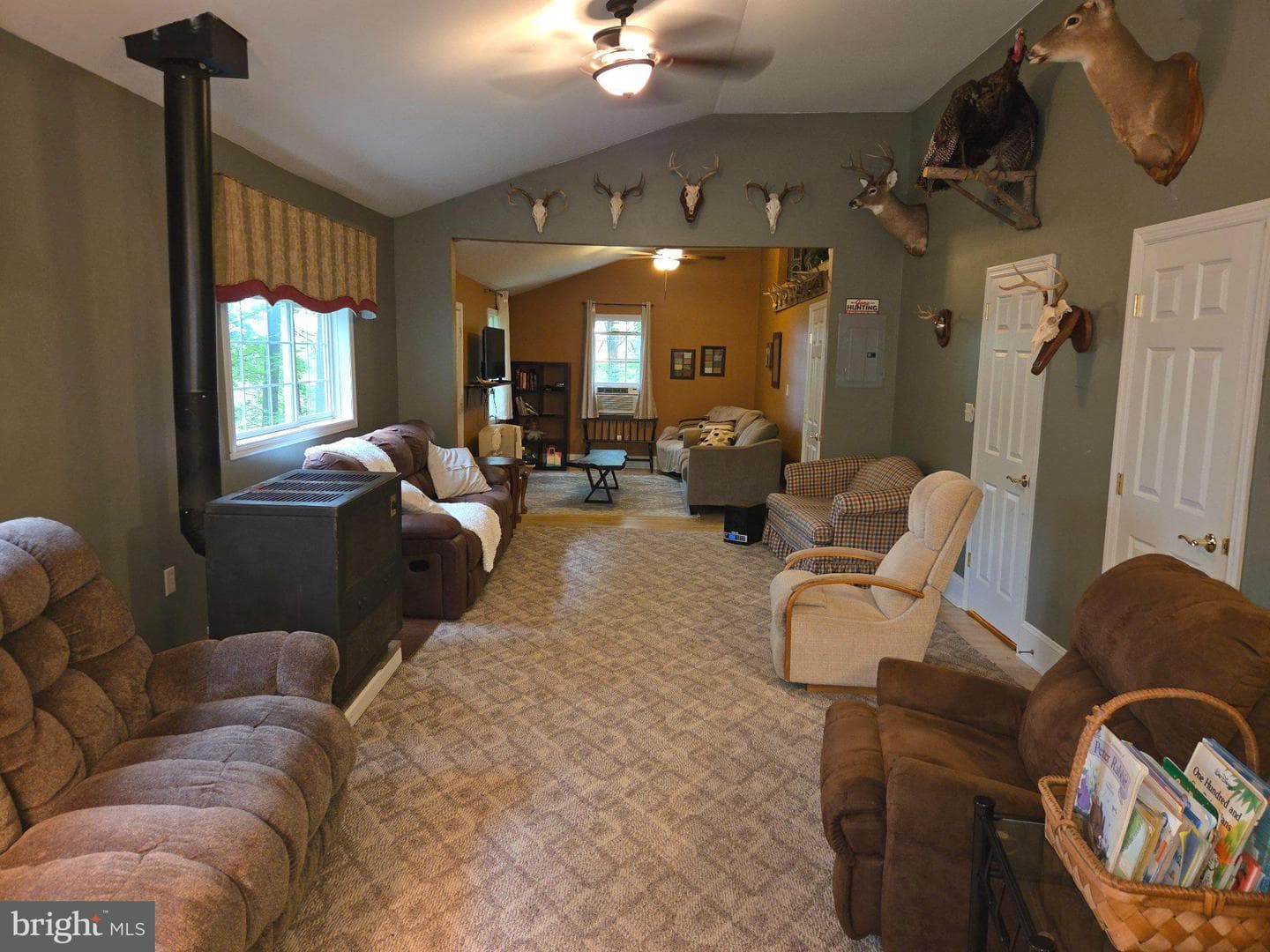491 Wild Area Lane photo 16