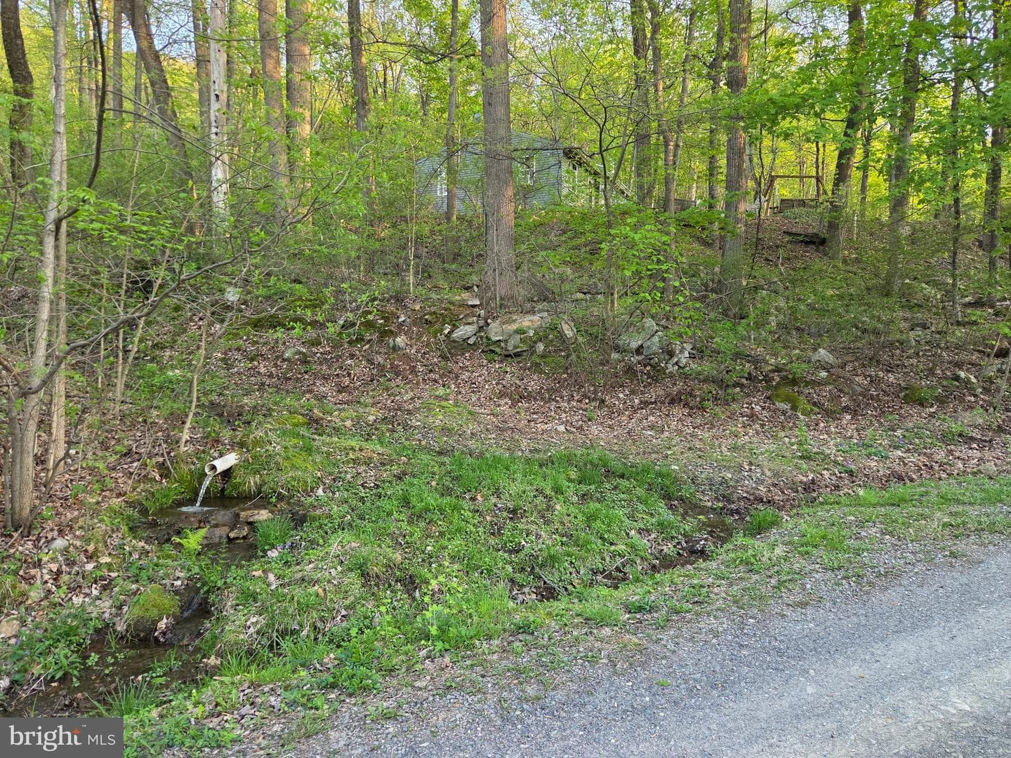 491 Wild Area Lane photo 37