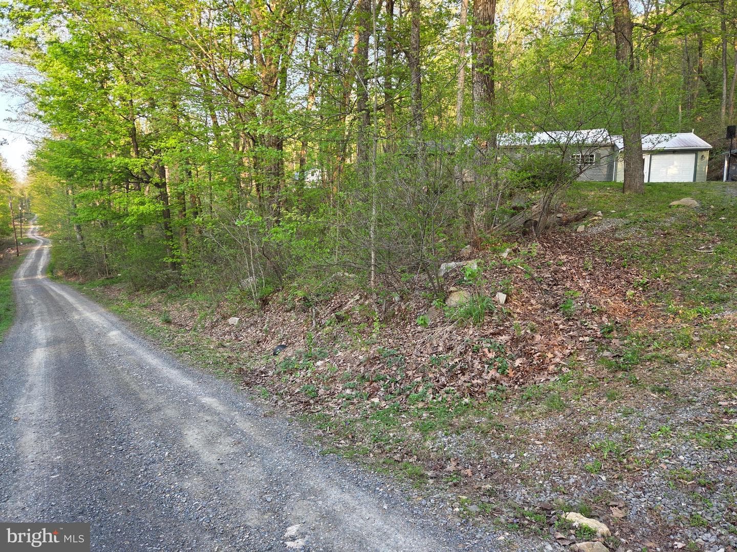 491 Wild Area Lane photo 38