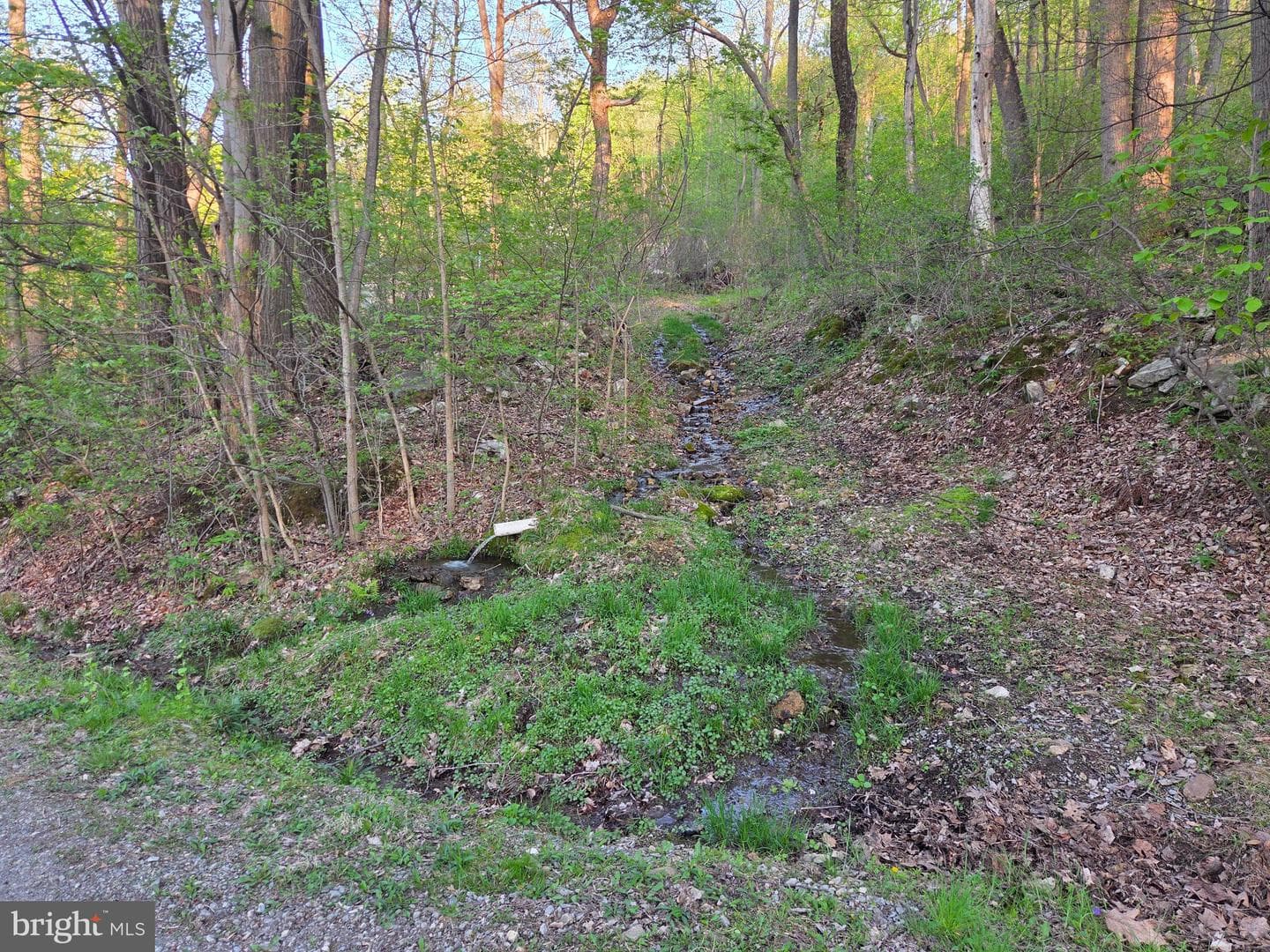 491 Wild Area Lane photo 39