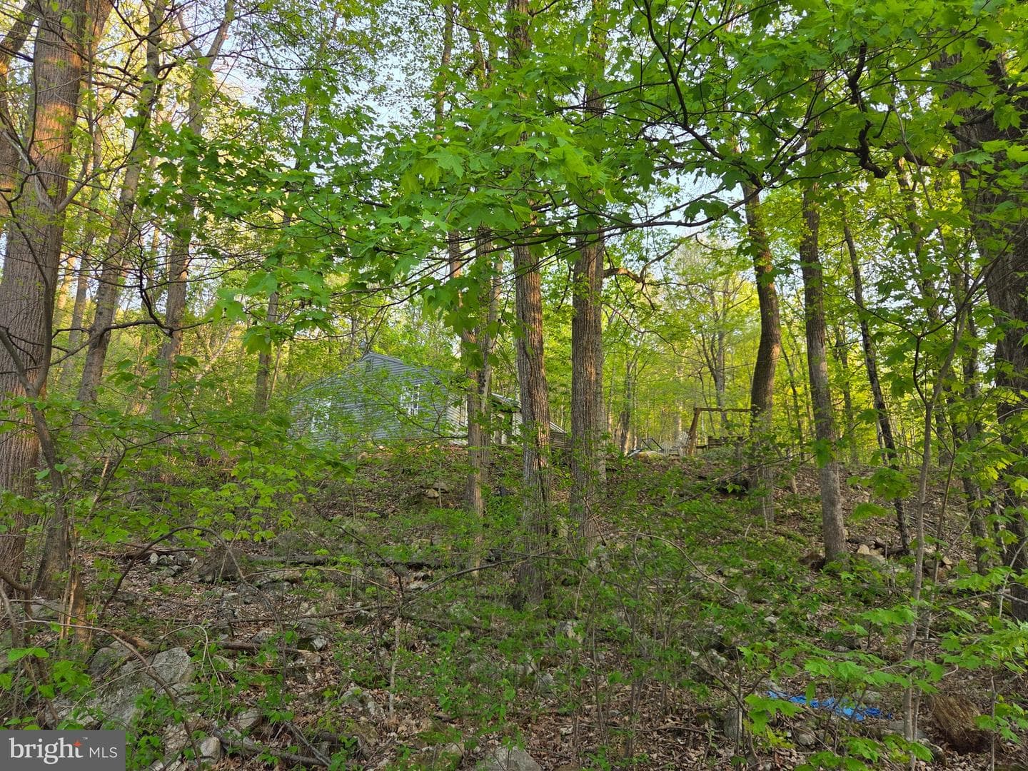 491 Wild Area Lane photo 40