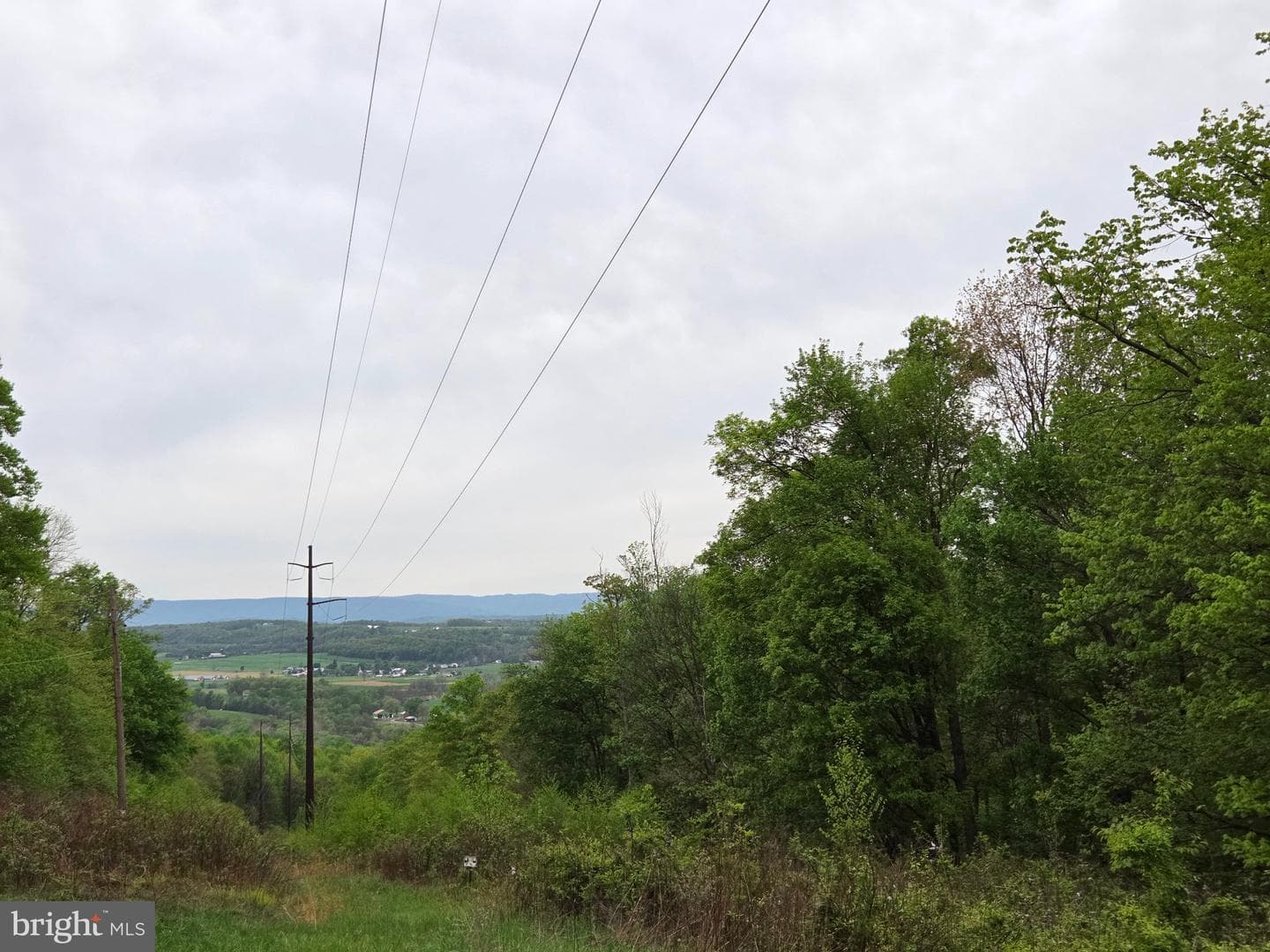 491 Wild Area Lane photo 42