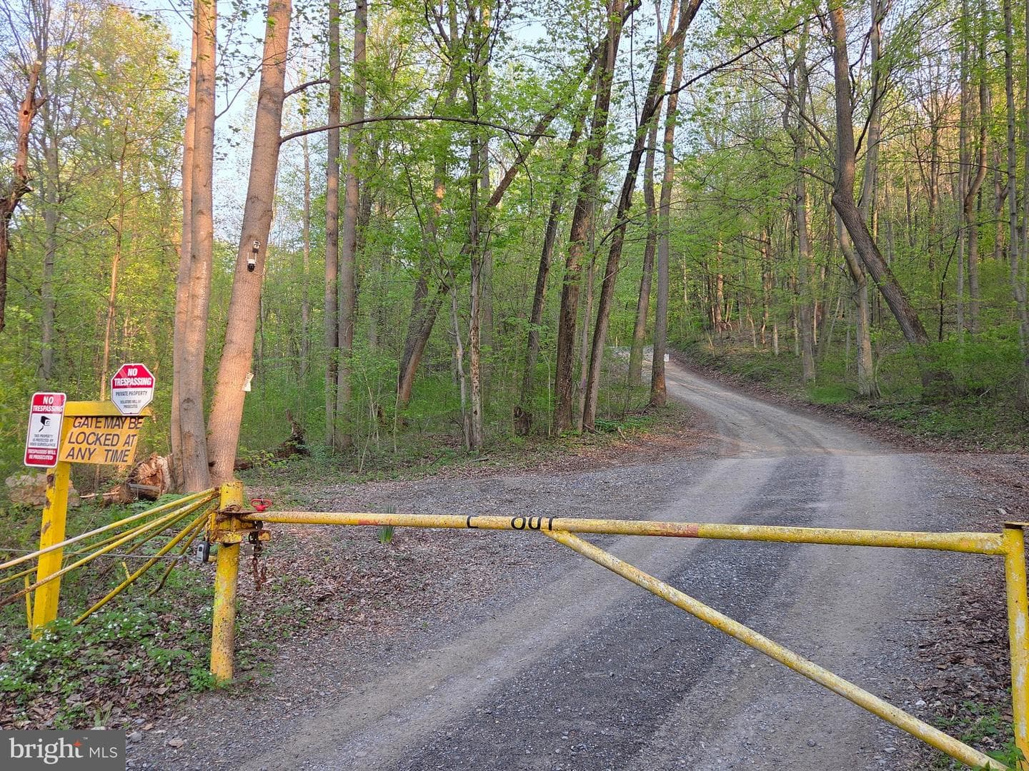 491 Wild Area Lane photo 43