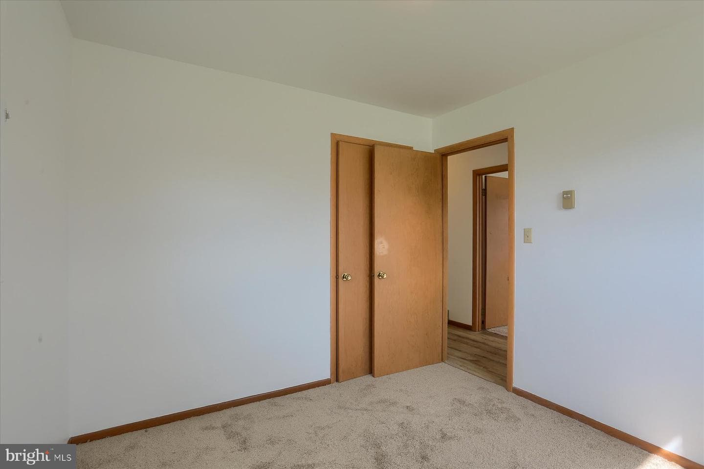 77 Texs Park Drive photo 20