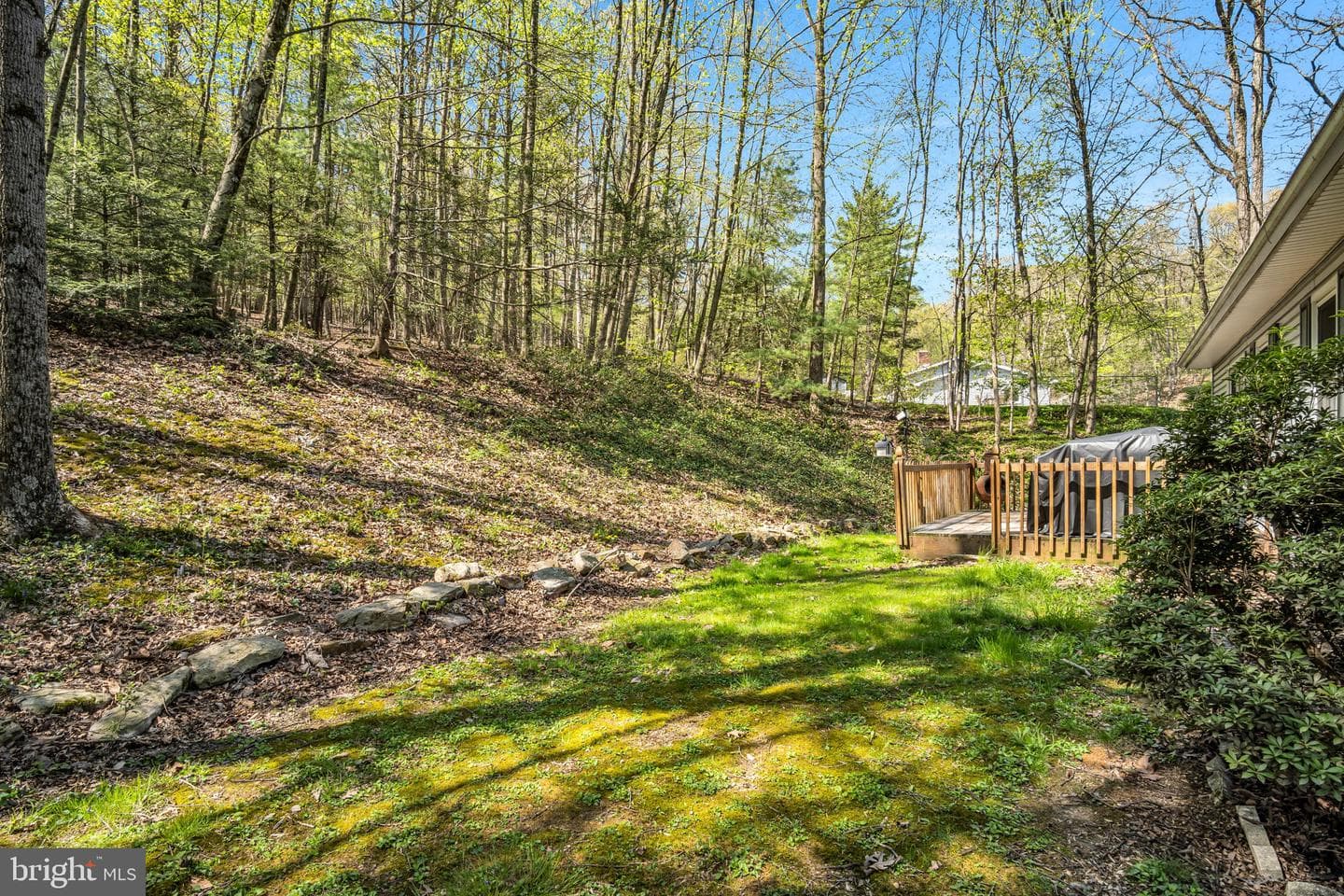32 Birch Drive photo 27